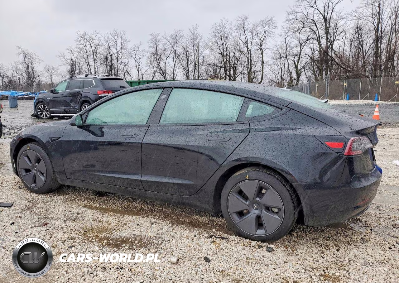 2023 Tesla Model 3 VIN:5YJ3E1EA9PF511031 - 2