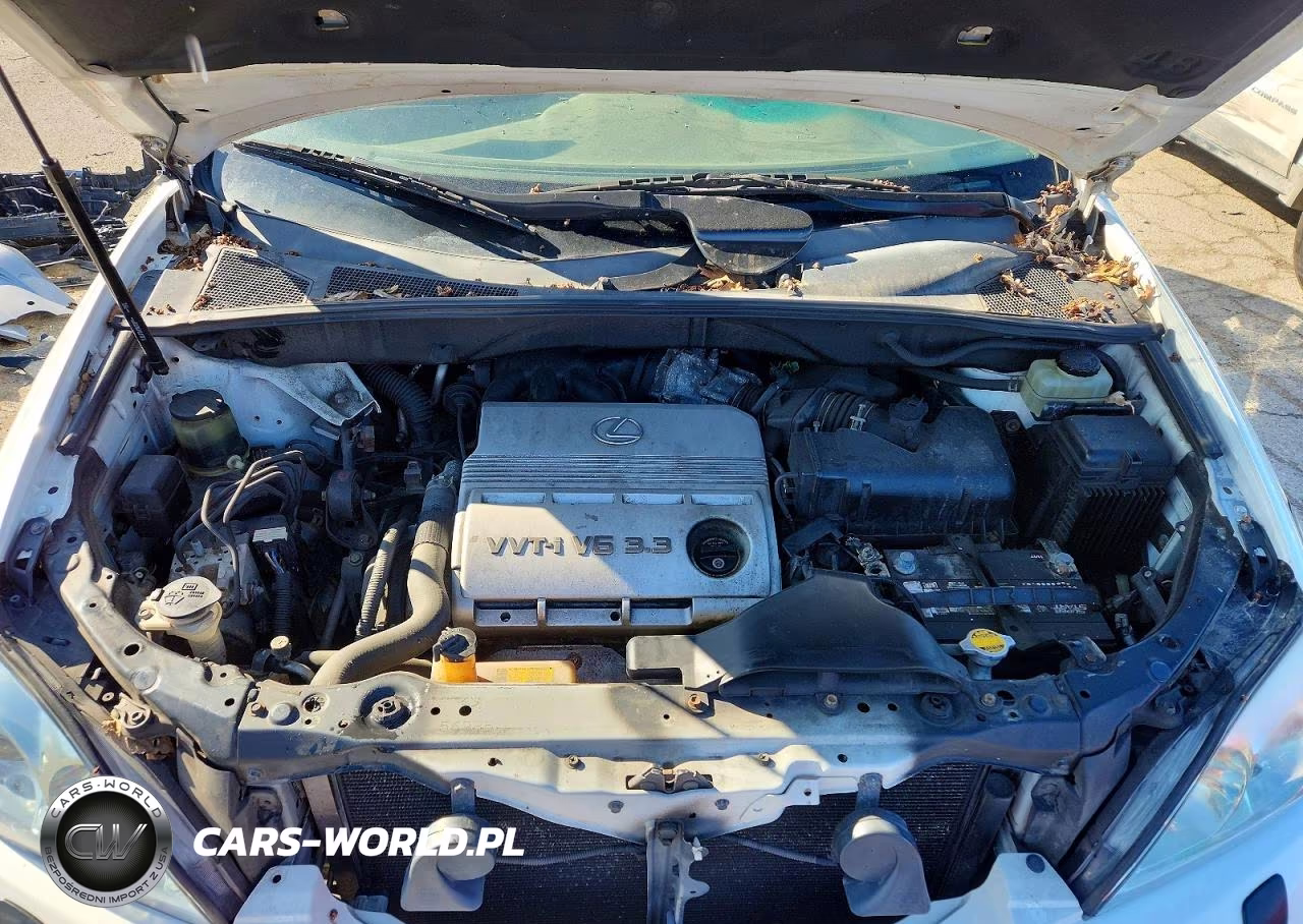 2004 Lexus Rx 330 Base VIN:JTJHA31UX40068103 - 12