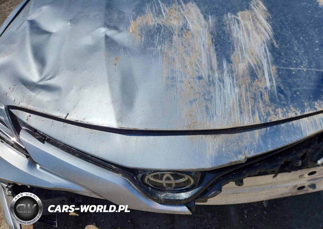 2020 Toyota Camry Le VIN:4T1C11AK5LU943526 - 11