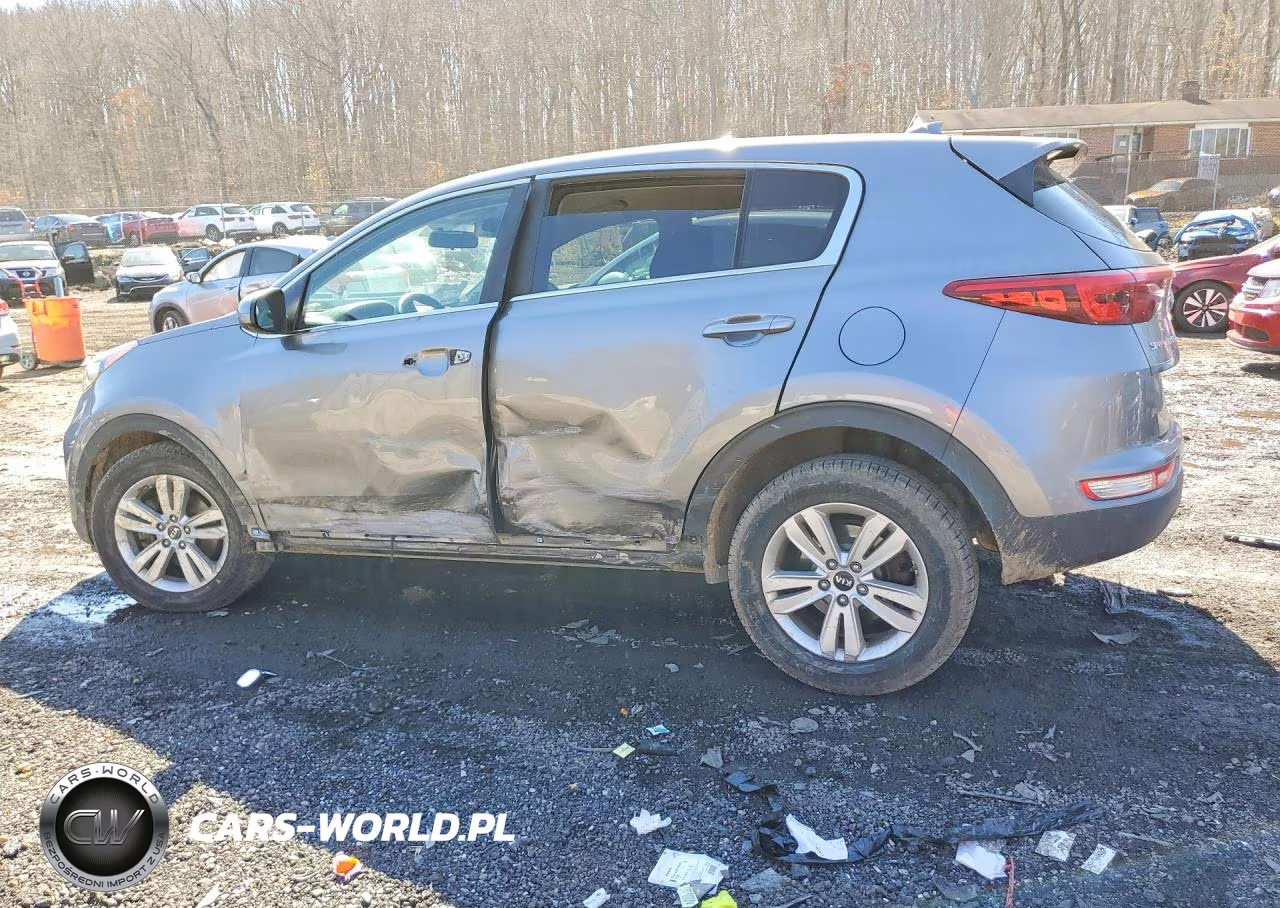 2017 Kia Sportage Lx VIN:KNDPM3AC4H7209273 - 2