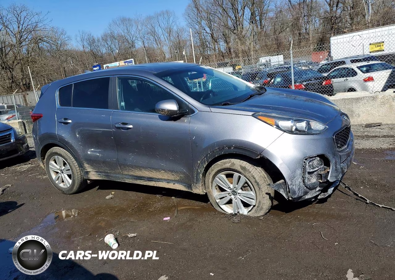 2017 Kia Sportage Lx VIN:KNDPM3AC4H7209273 - 4