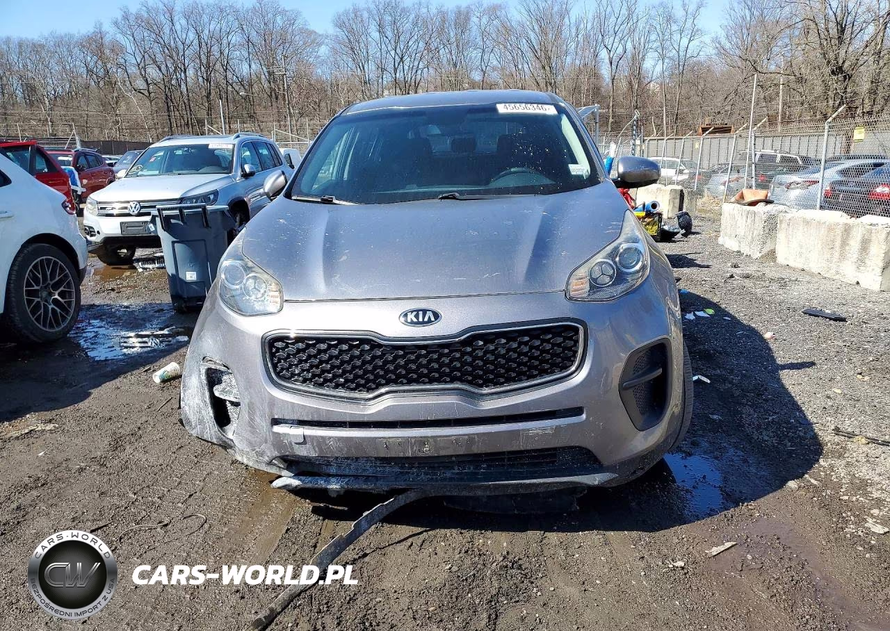 2017 Kia Sportage Lx VIN:KNDPM3AC4H7209273 - 5