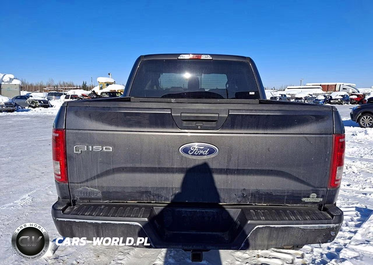 2015 Ford F150 VIN:1FTEW1EG4FFC59290 - 6