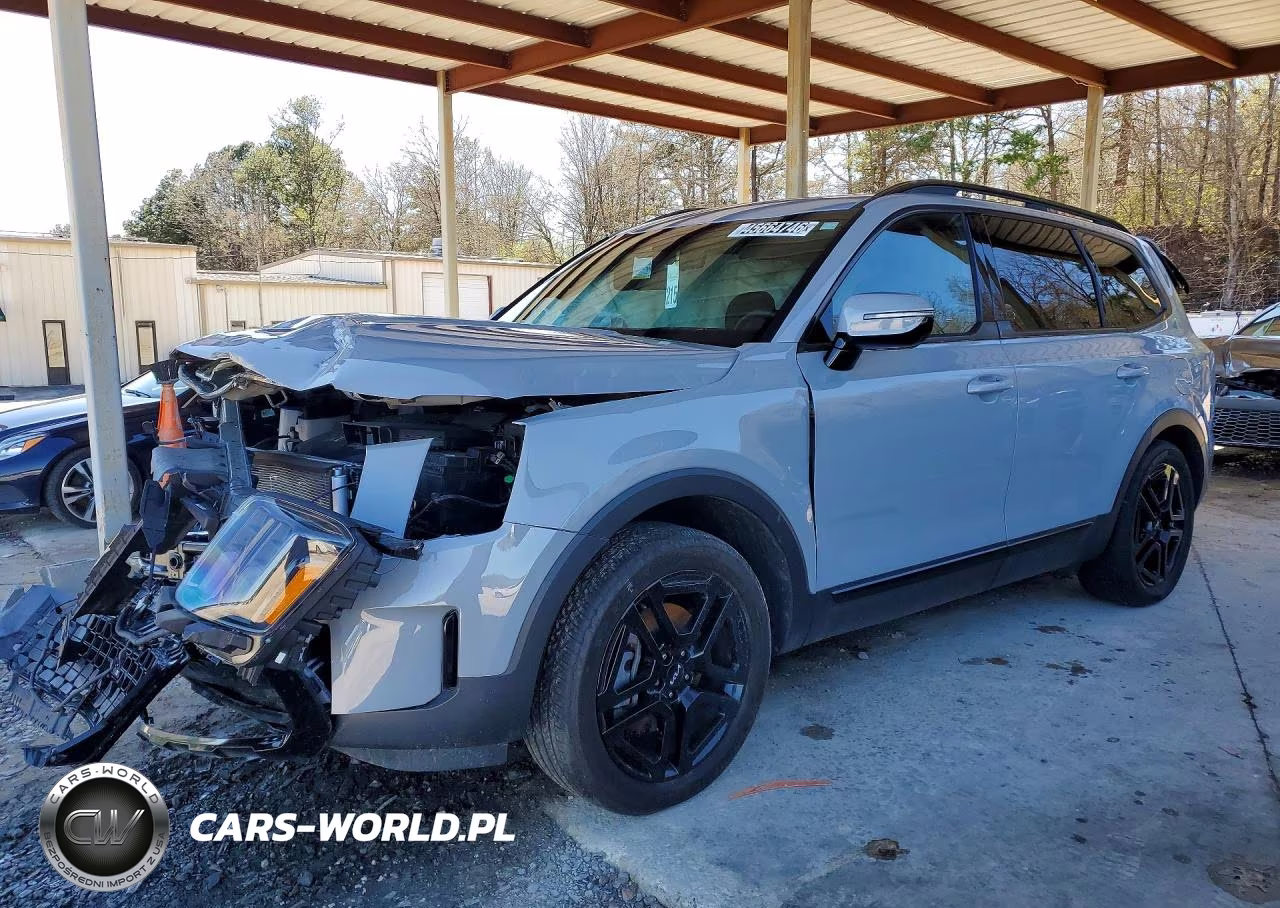 2024 Kia Telluride Sx-Prestige X-Line VIN:5XYP5DGC7RG416822 - 1