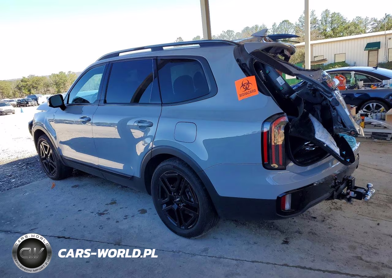 2024 Kia Telluride Sx-Prestige X-Line VIN:5XYP5DGC7RG416822 - 2