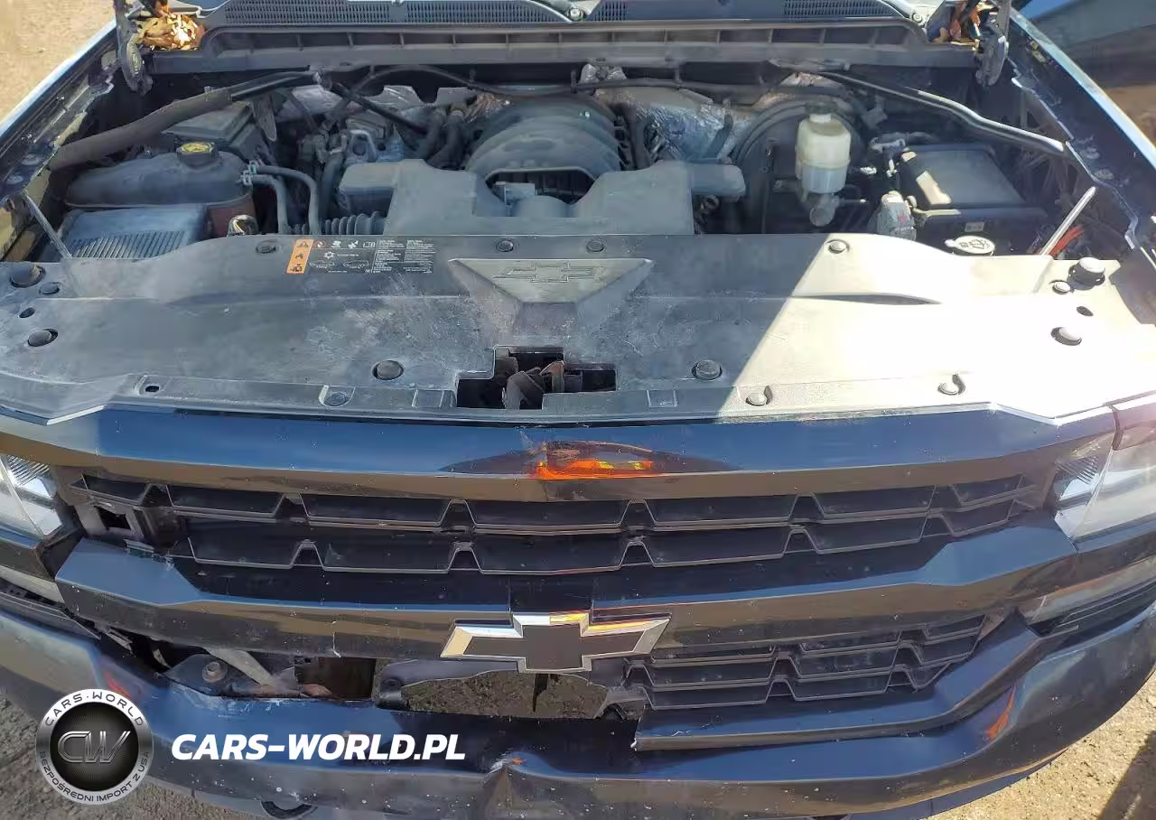 2017 Chevrolet Silverado K1500 Custom VIN:1GCVKPEC3HZ131958 - 11
