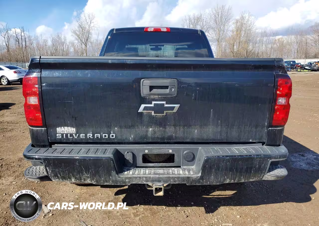 2017 Chevrolet Silverado K1500 Custom VIN:1GCVKPEC3HZ131958 - 6