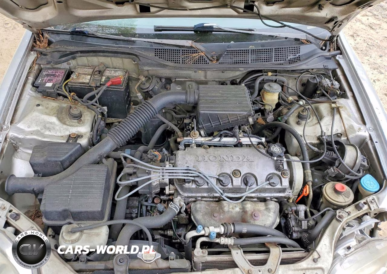 1998 Honda Civic Lx VIN:1HGEJ6673WL036977 - 11