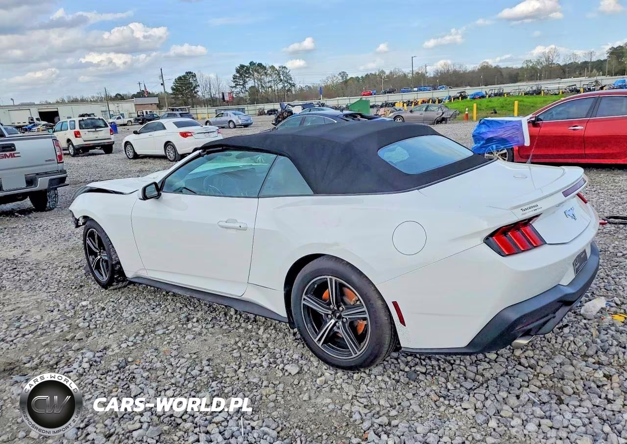 2024 Ford Mustang VIN:1FAGP8UH8R5124287 - 2