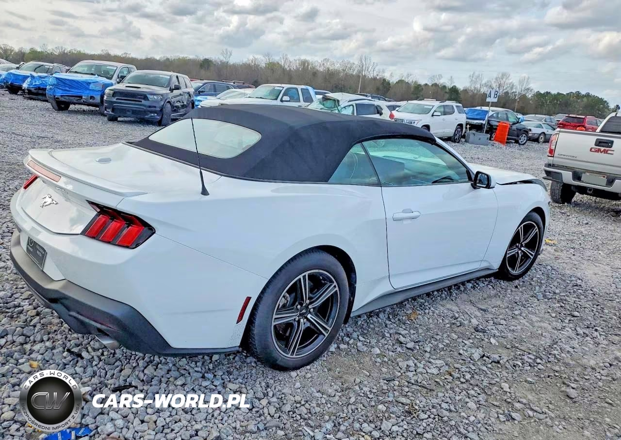 2024 Ford Mustang VIN:1FAGP8UH8R5124287 - 3