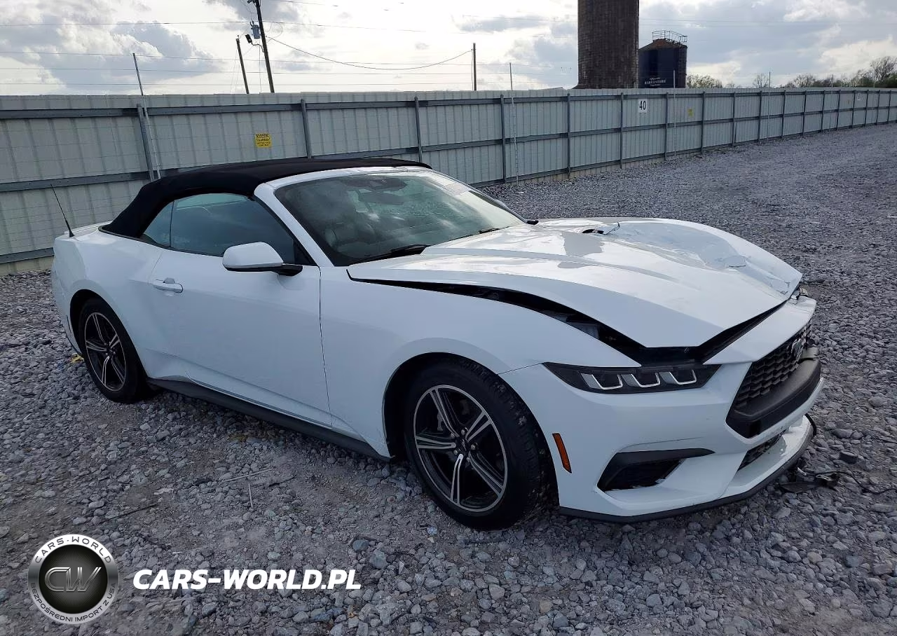 2024 Ford Mustang VIN:1FAGP8UH8R5124287 - 4