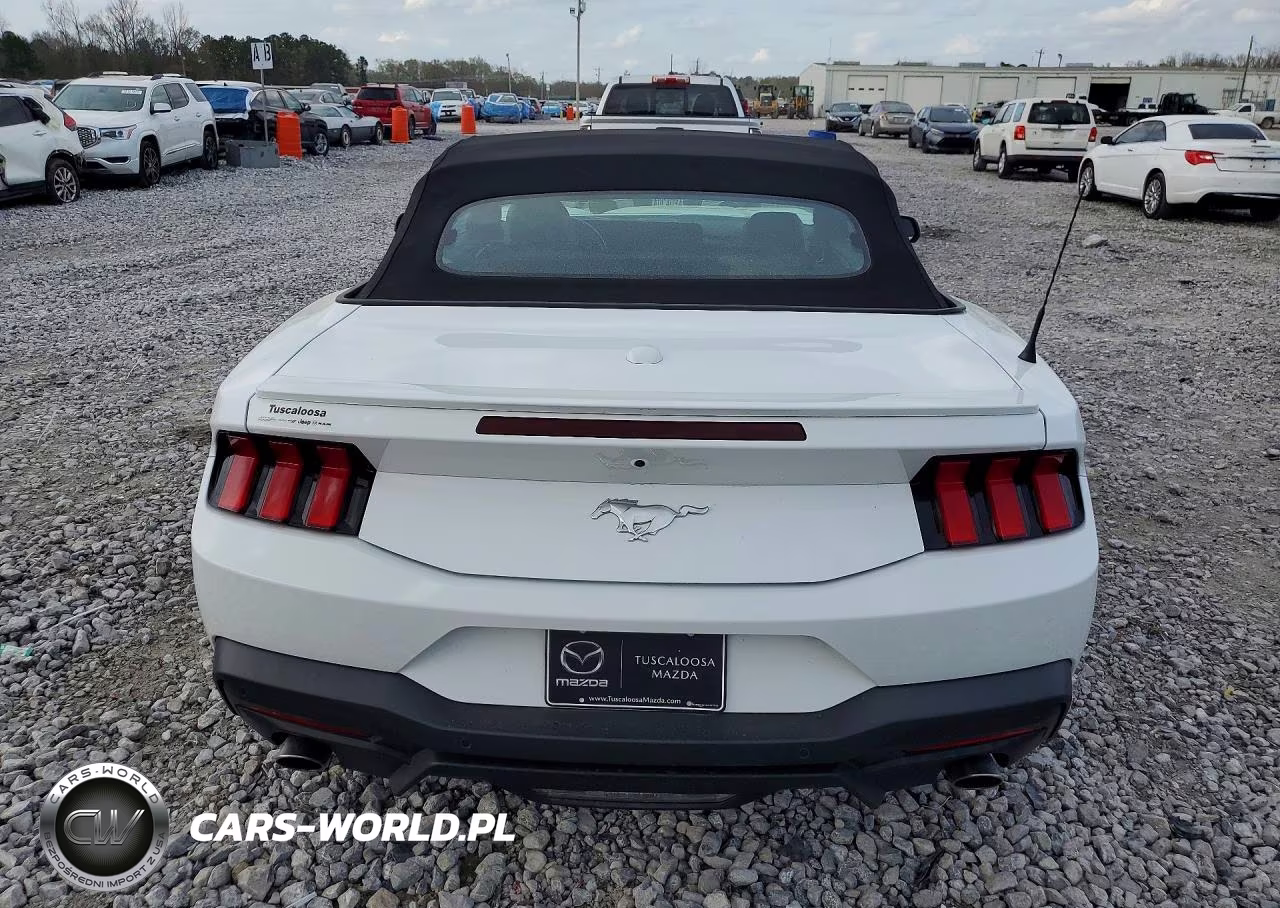 2024 Ford Mustang VIN:1FAGP8UH8R5124287 - 6