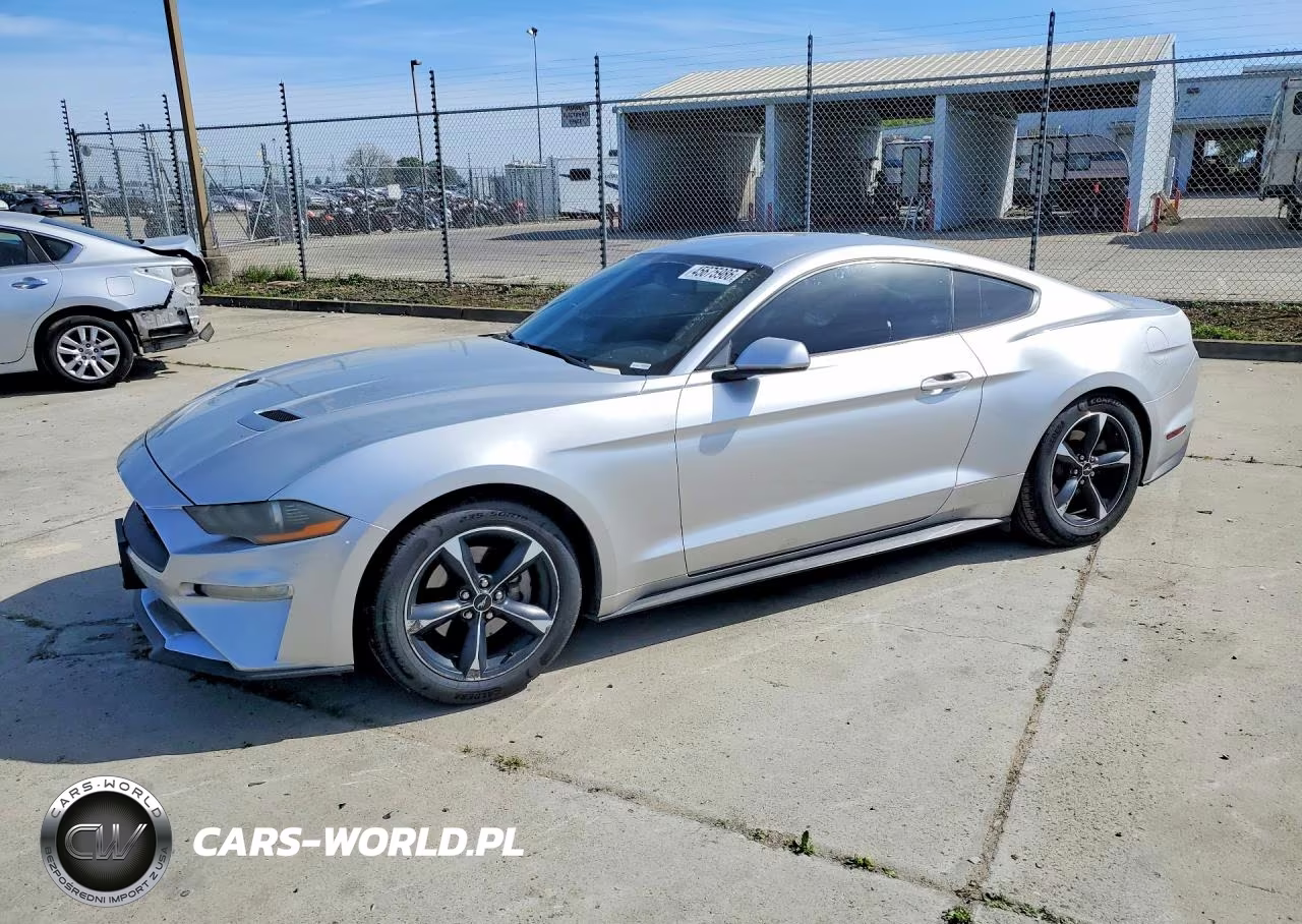 2019 Ford Mustang