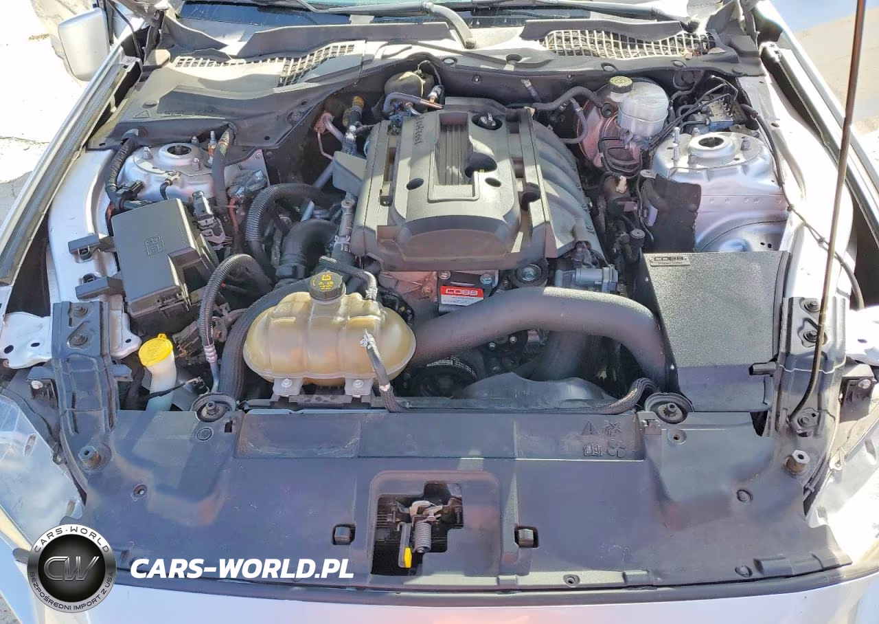 2019 Ford Mustang VIN:1FA6P8TH0K5175723 - 11