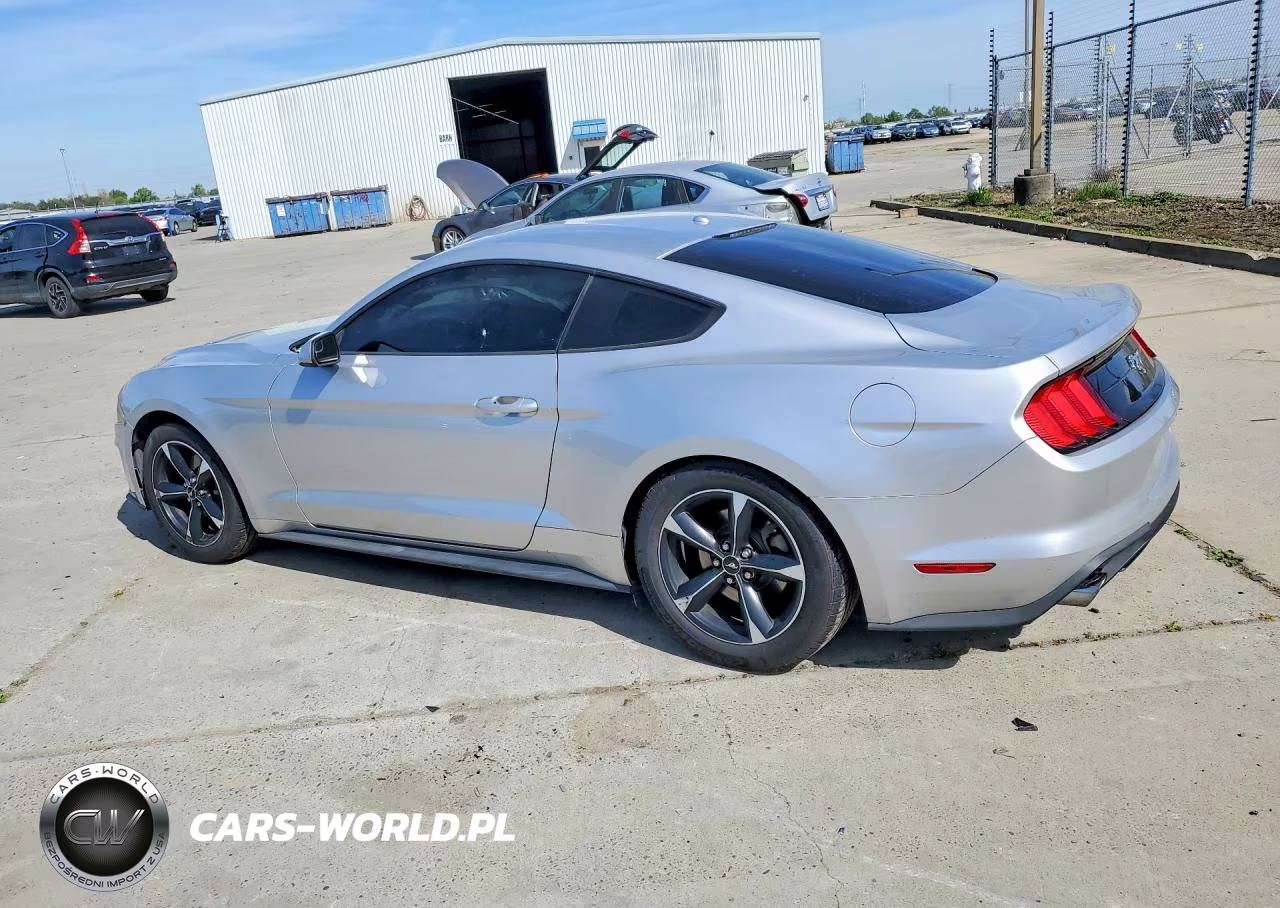 2019 Ford Mustang VIN:1FA6P8TH0K5175723 - 2
