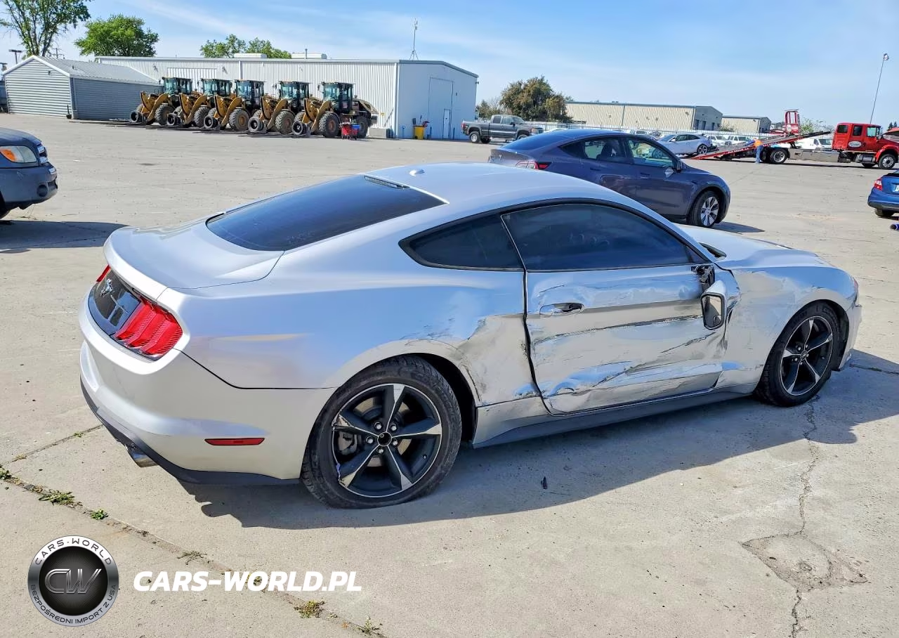 2019 Ford Mustang VIN:1FA6P8TH0K5175723 - 3