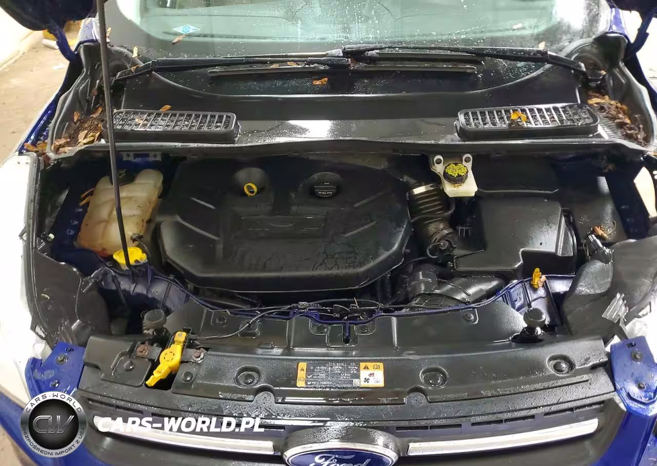 2016 Ford Escape Se VIN:1FMCU9G90GUB70299 - 12