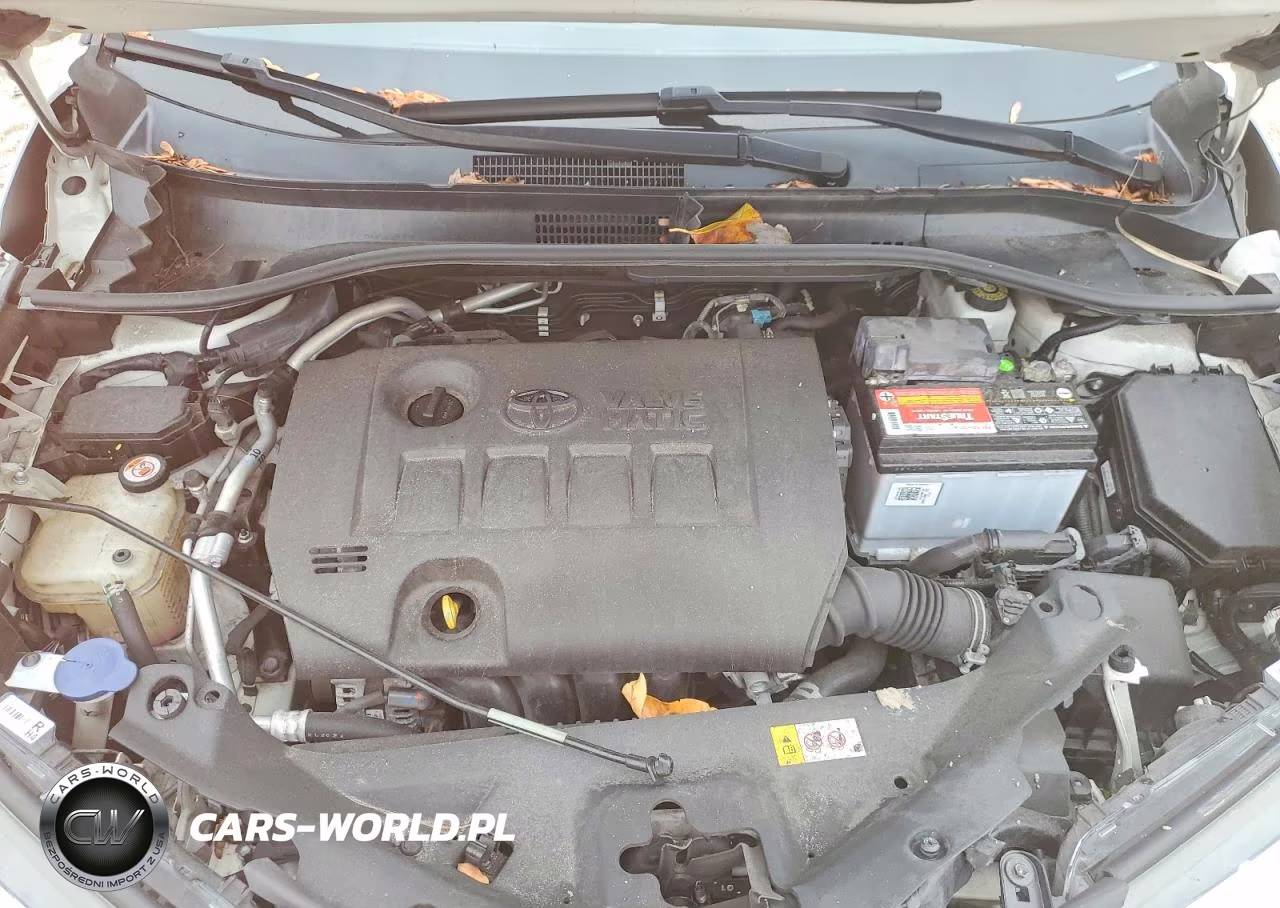 2019 Toyota C-Hr Xle VIN:NMTKHMBX8KR092380 - 12