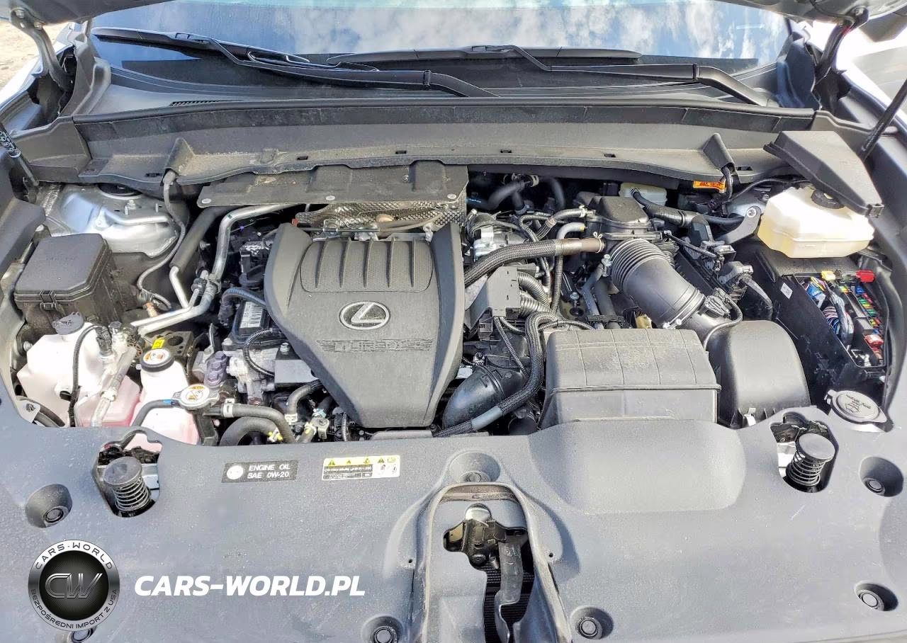 2025 Lexus Tx 500H F Sport Performance Premium VIN:5TDABAB62SS013371 - 12