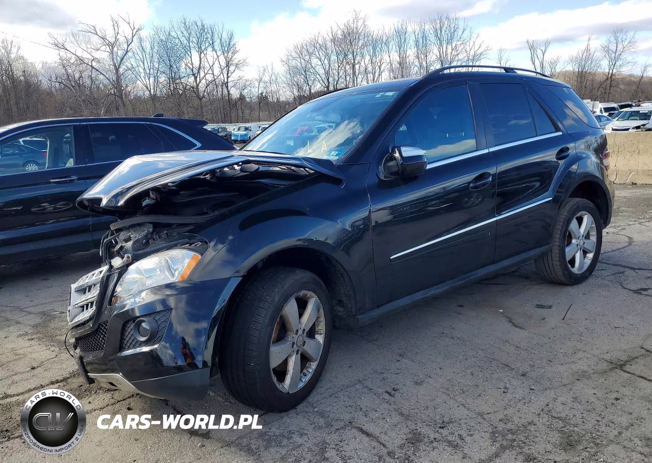 2010 Mercedes-Benz Ml 350 4Matic