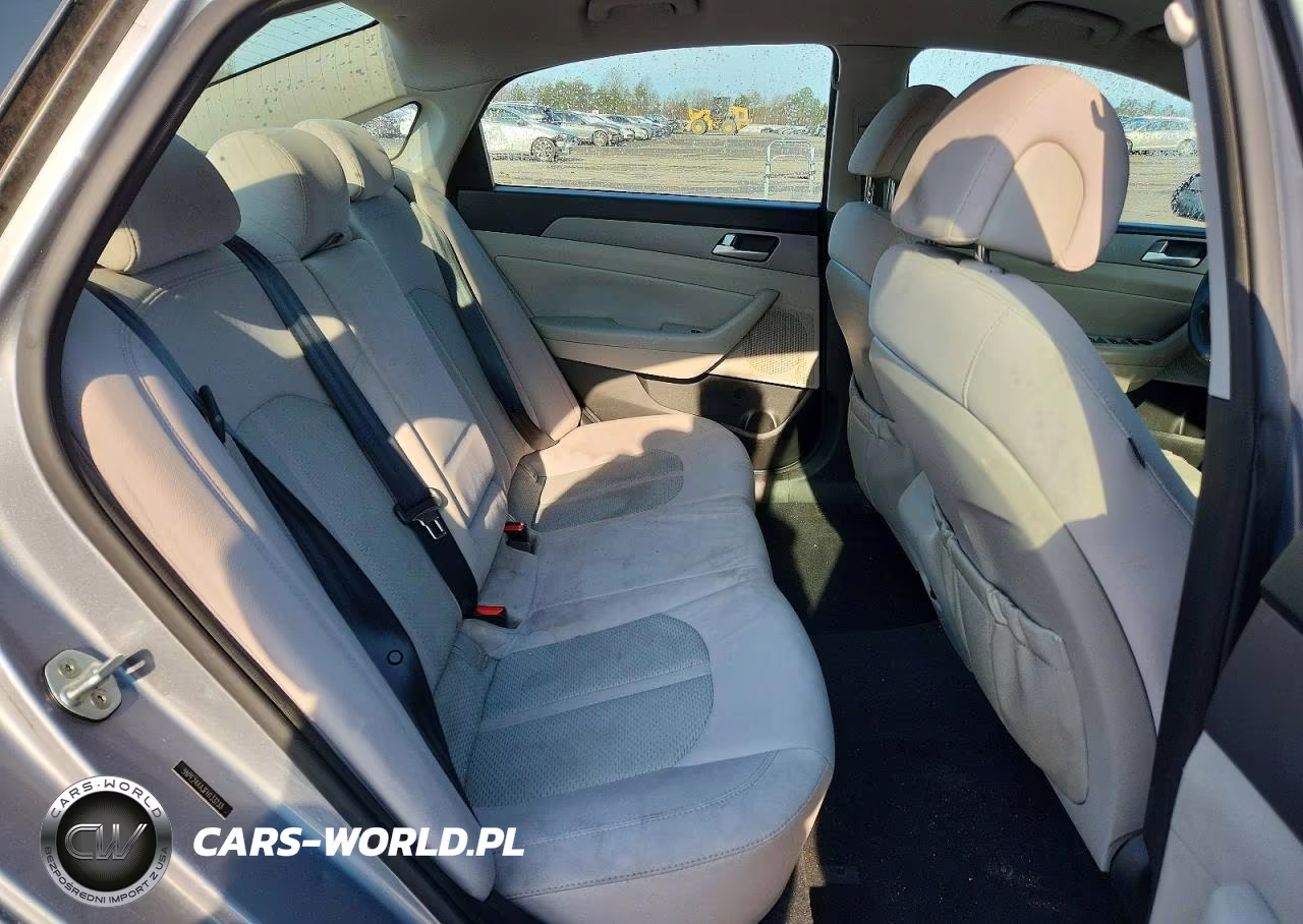 2015 Hyundai Sonata Eco VIN:5NPE24AA3FH133233 - 10