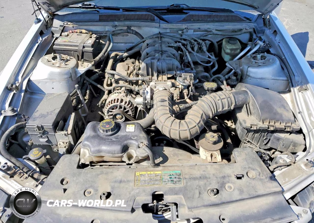 2006 Ford Mustang VIN:1ZVHT84N265111267 - 11