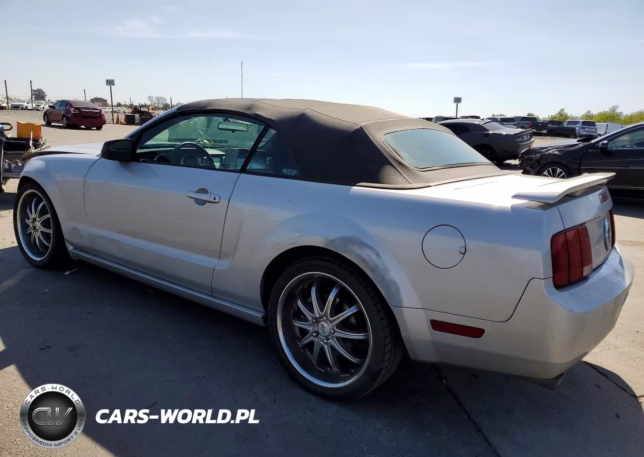 2006 Ford Mustang VIN:1ZVHT84N265111267 - 2