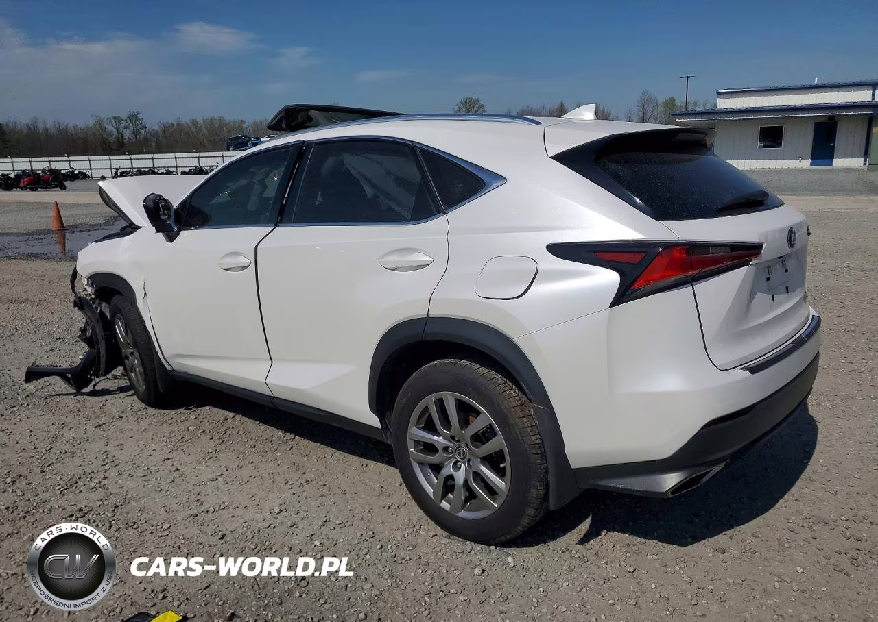 2021 Lexus Nx 300 VIN:JTJGARDZ9M5019466 - 2