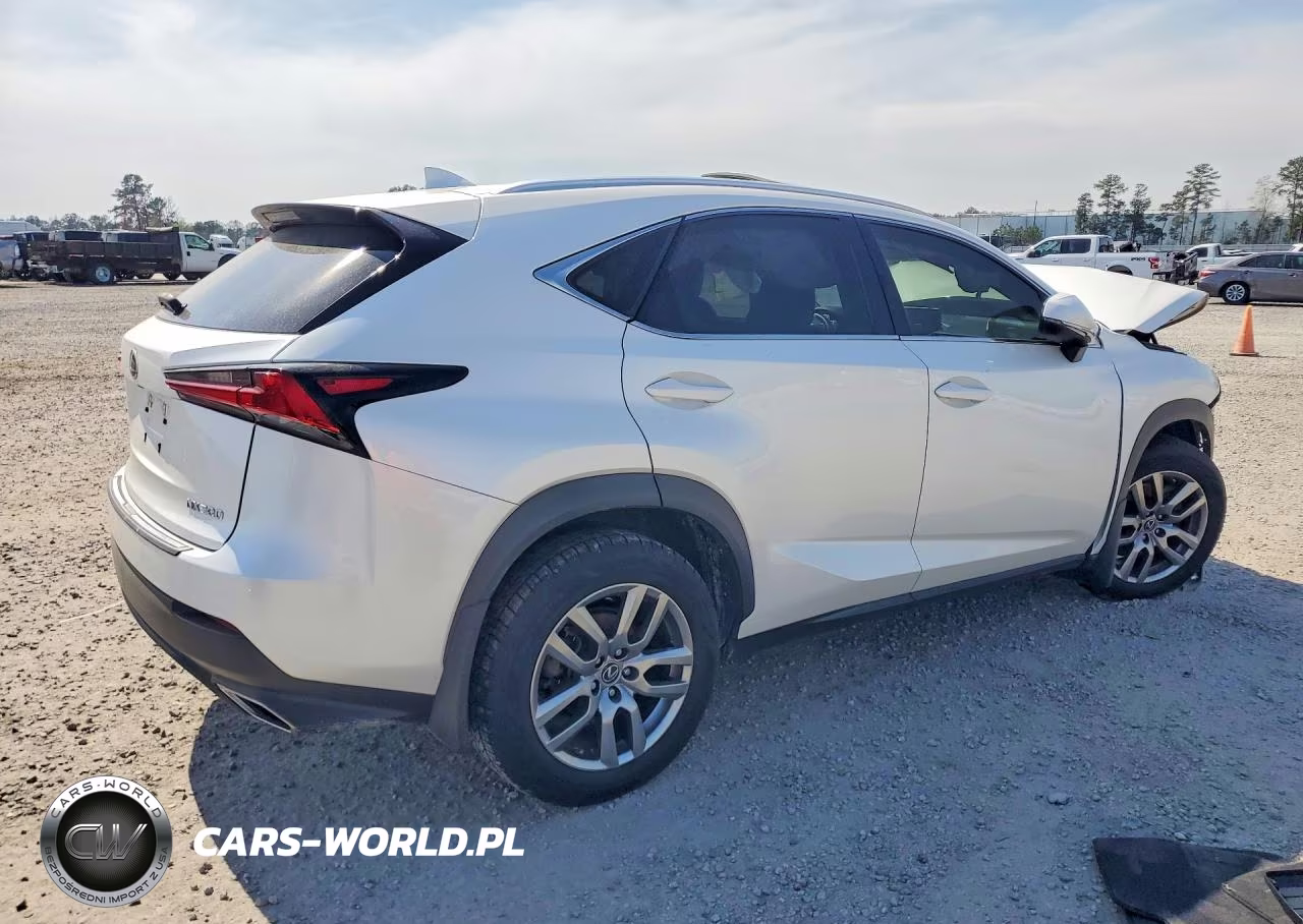 2021 Lexus Nx 300 VIN:JTJGARDZ9M5019466 - 3