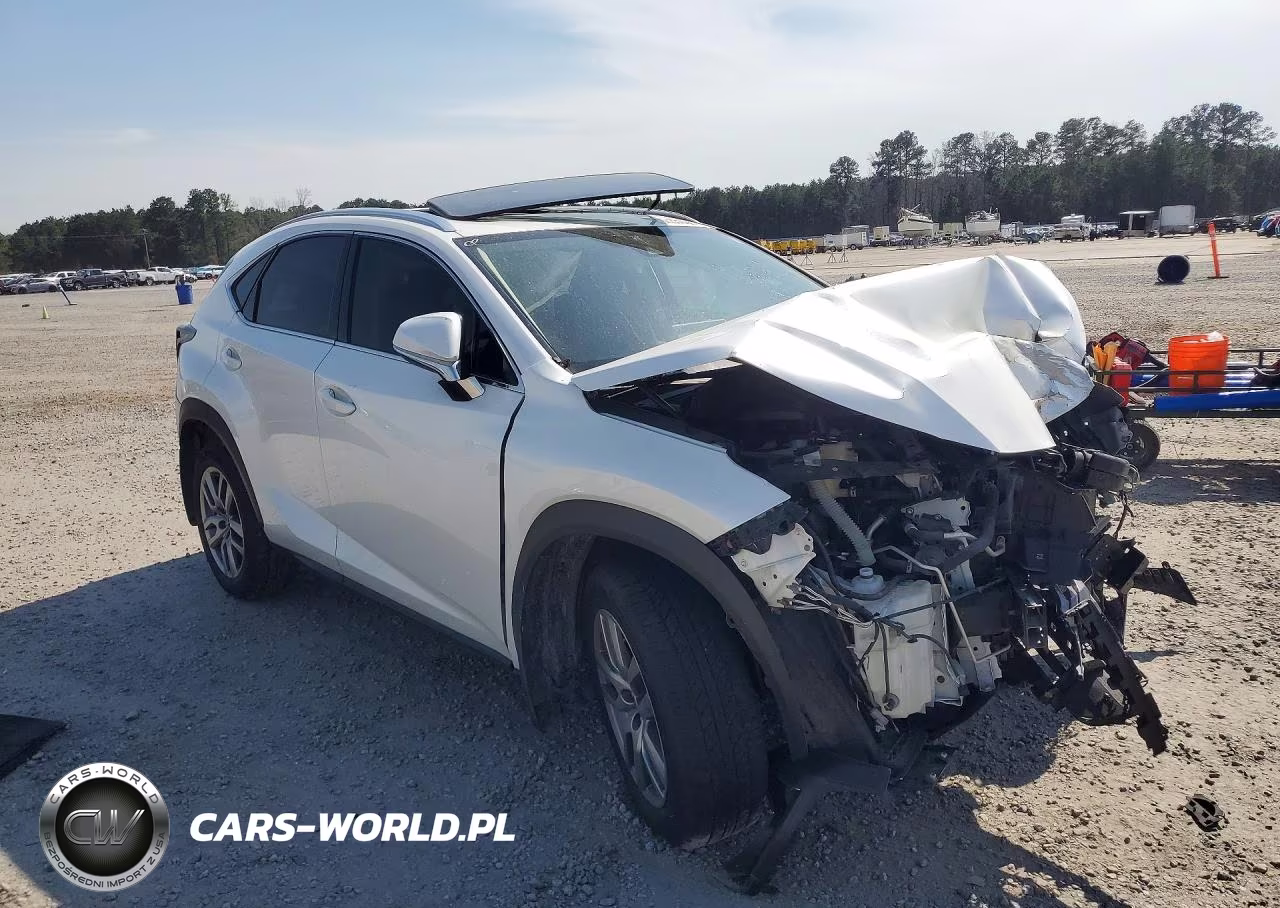 2021 Lexus Nx 300 VIN:JTJGARDZ9M5019466 - 4