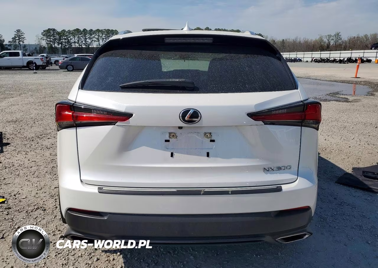 2021 Lexus Nx 300 VIN:JTJGARDZ9M5019466 - 6