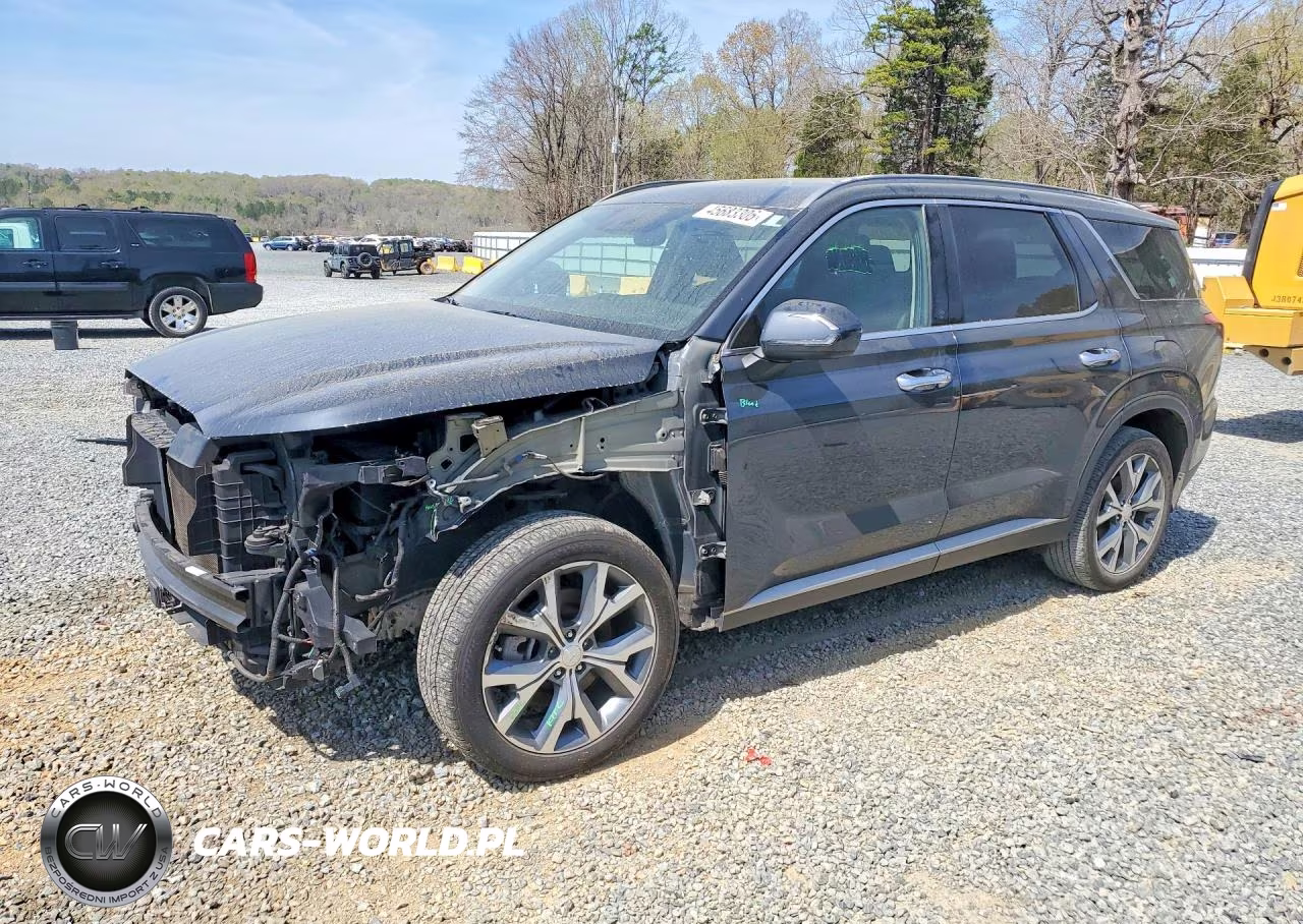 2020 Hyundai Palisade Sel VIN:KM8R34HE5LU058572 - 1