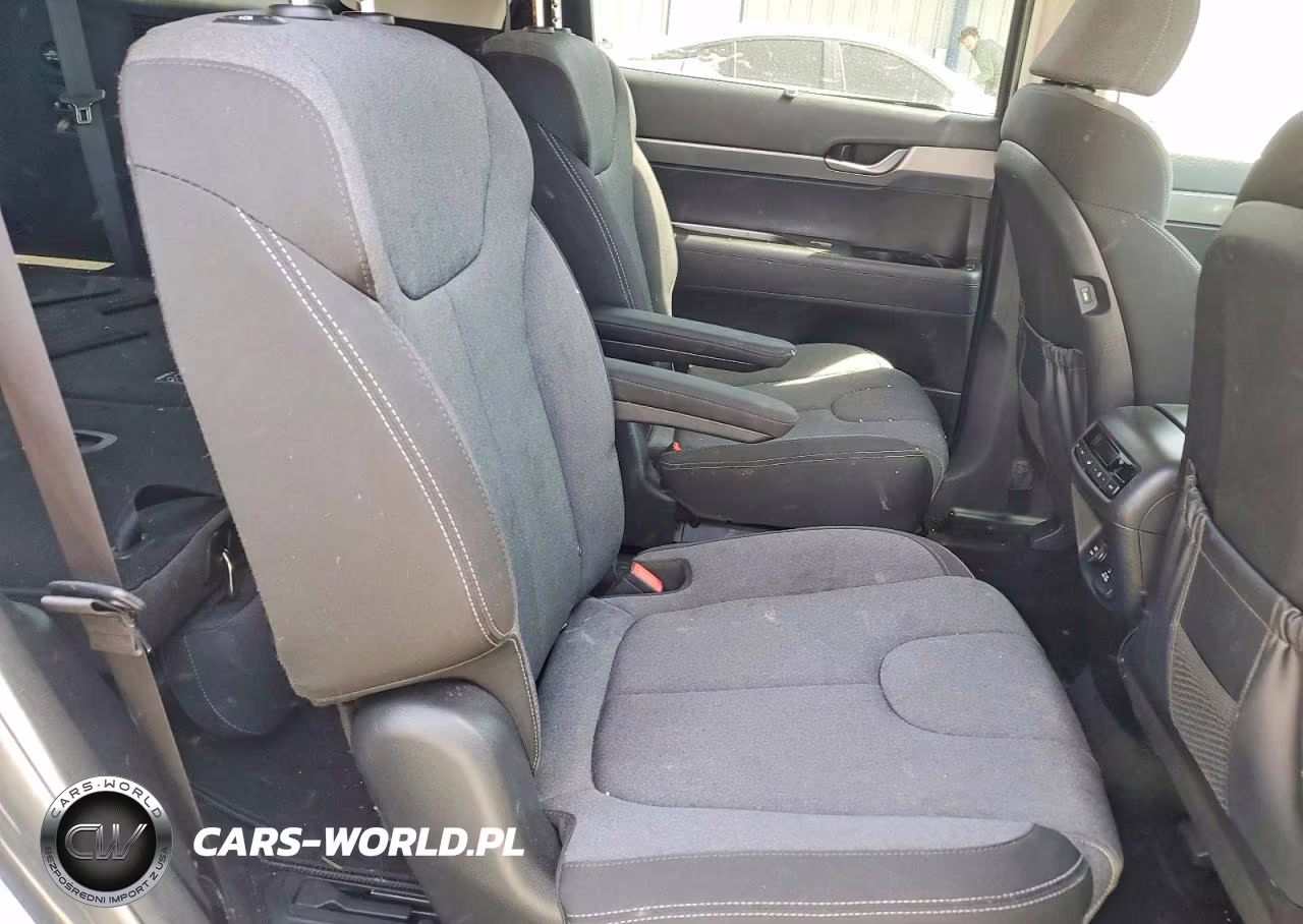 2020 Hyundai Palisade Sel VIN:KM8R34HE5LU058572 - 10