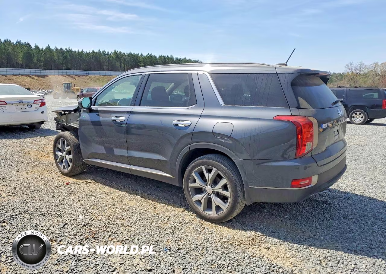 2020 Hyundai Palisade Sel VIN:KM8R34HE5LU058572 - 2