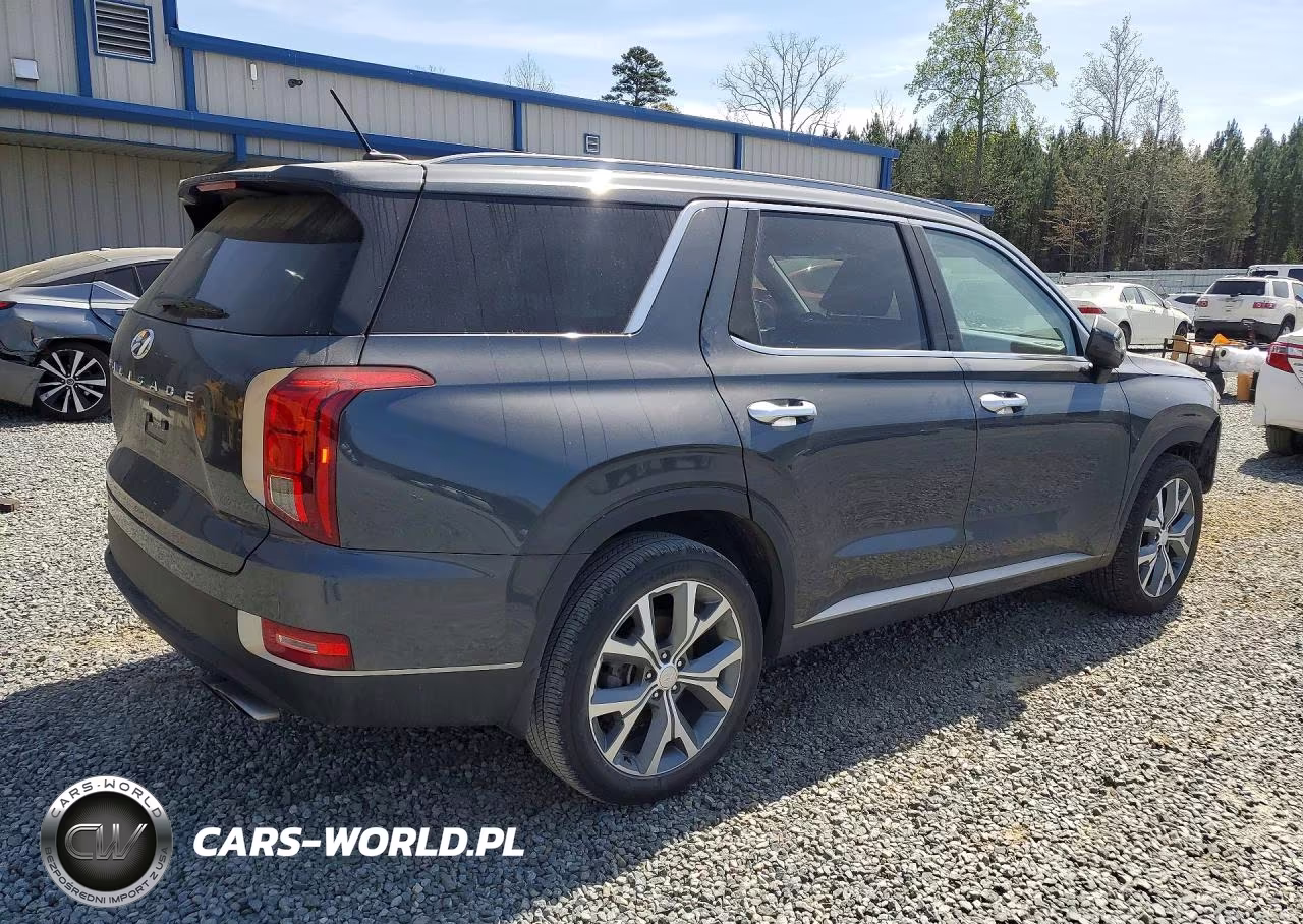 2020 Hyundai Palisade Sel VIN:KM8R34HE5LU058572 - 3