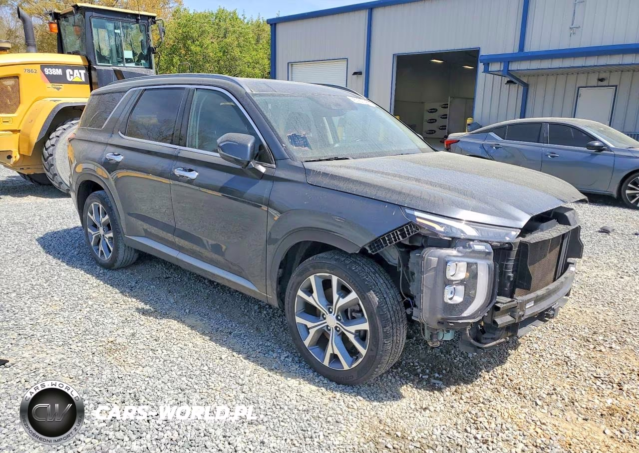 2020 Hyundai Palisade Sel VIN:KM8R34HE5LU058572 - 4