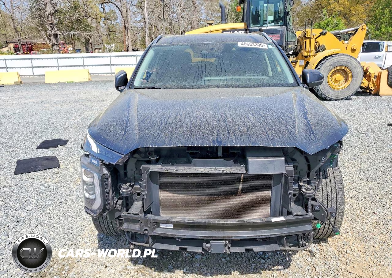 2020 Hyundai Palisade Sel VIN:KM8R34HE5LU058572 - 5