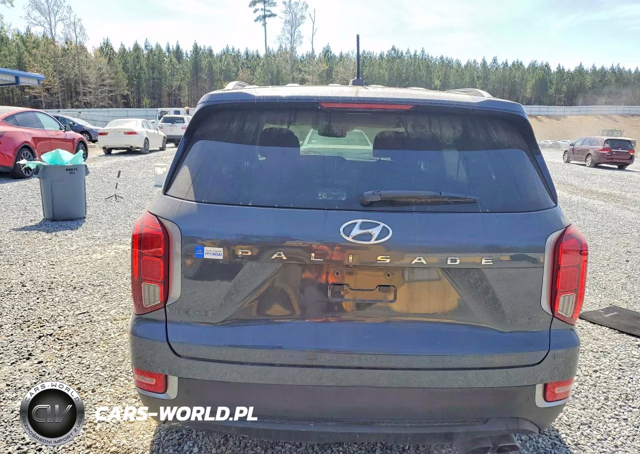 2020 Hyundai Palisade Sel VIN:KM8R34HE5LU058572 - 6
