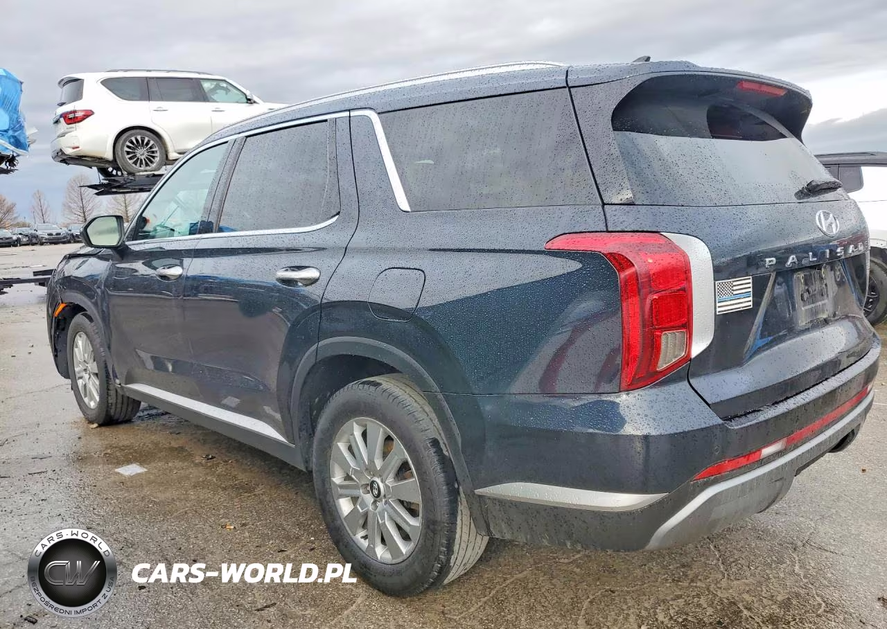 2024 Hyundai Palisade Sel VIN:KM8R24GEXRU792041 - 2