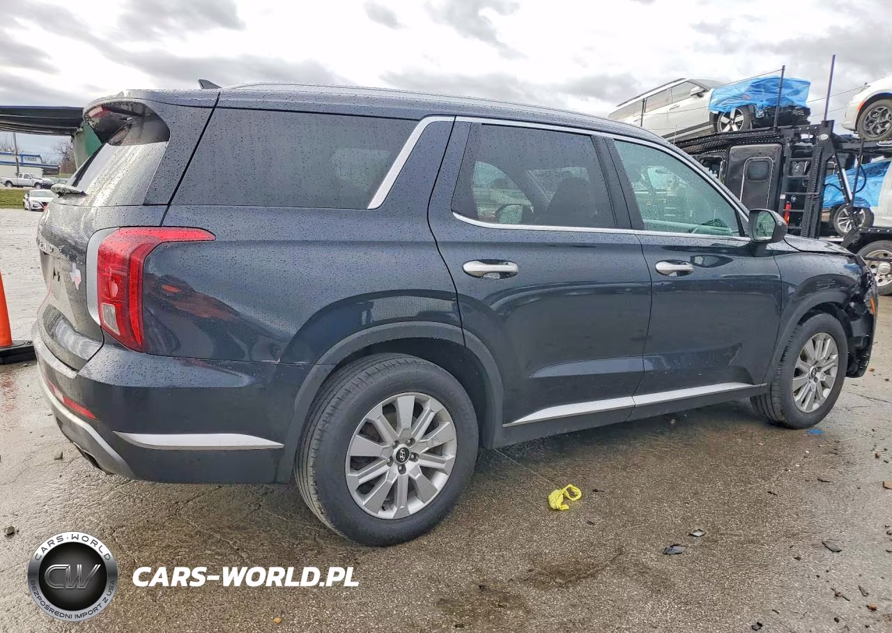 2024 Hyundai Palisade Sel VIN:KM8R24GEXRU792041 - 3