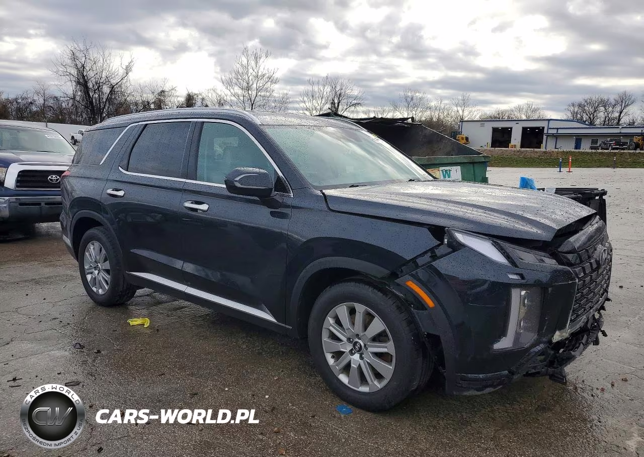 2024 Hyundai Palisade Sel VIN:KM8R24GEXRU792041 - 4