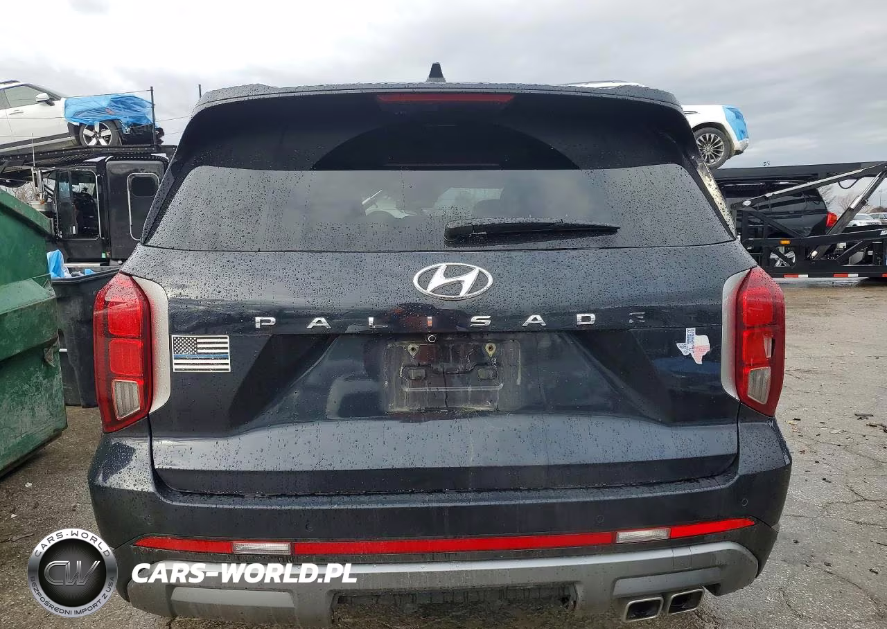 2024 Hyundai Palisade Sel VIN:KM8R24GEXRU792041 - 6