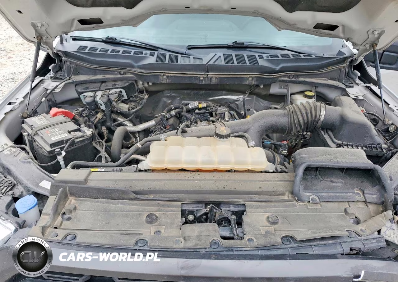 2023 Ford F150 Supercrew VIN:1FTEW1CP2PKE28136 - 11