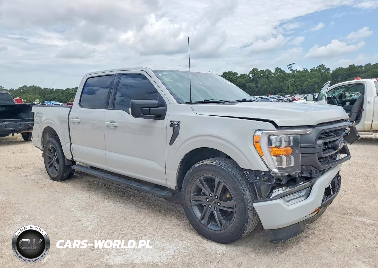 2023 Ford F150 Supercrew VIN:1FTEW1CP2PKE28136 - 4