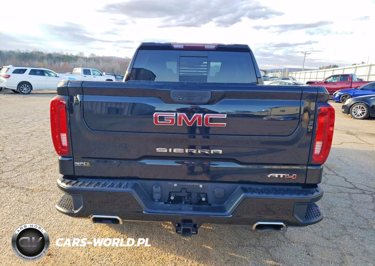 2019 GMC Sierra K1500 At4 VIN:1GTP9EED1KZ401553 - 6