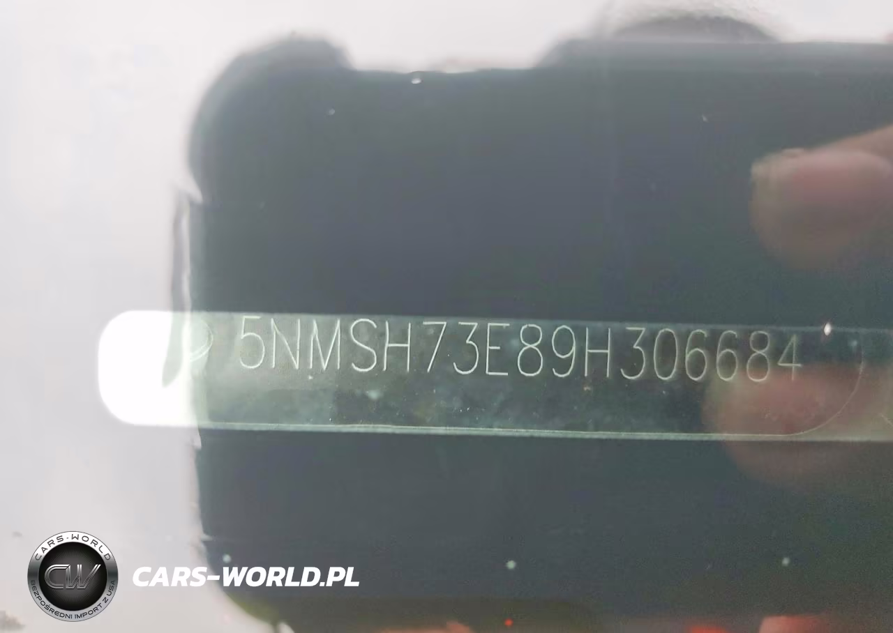 2009 Hyundai Santa Fe Limited VIN:5NMSH73E89H306684 - 13