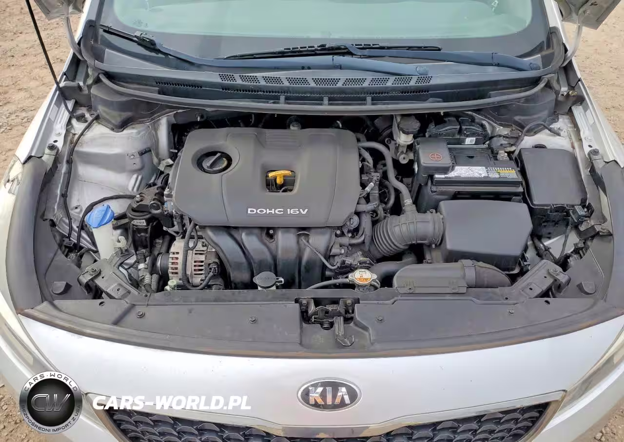 2017 Kia Forte Lx VIN:3KPFL4A75HE078135 - 11