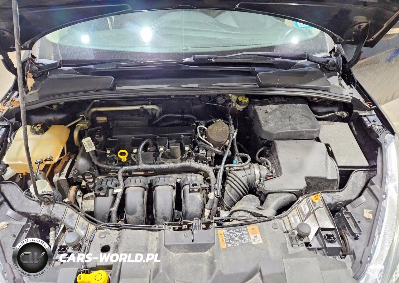 2016 Ford Focus Se VIN:1FADP3K21GL247846 - 11