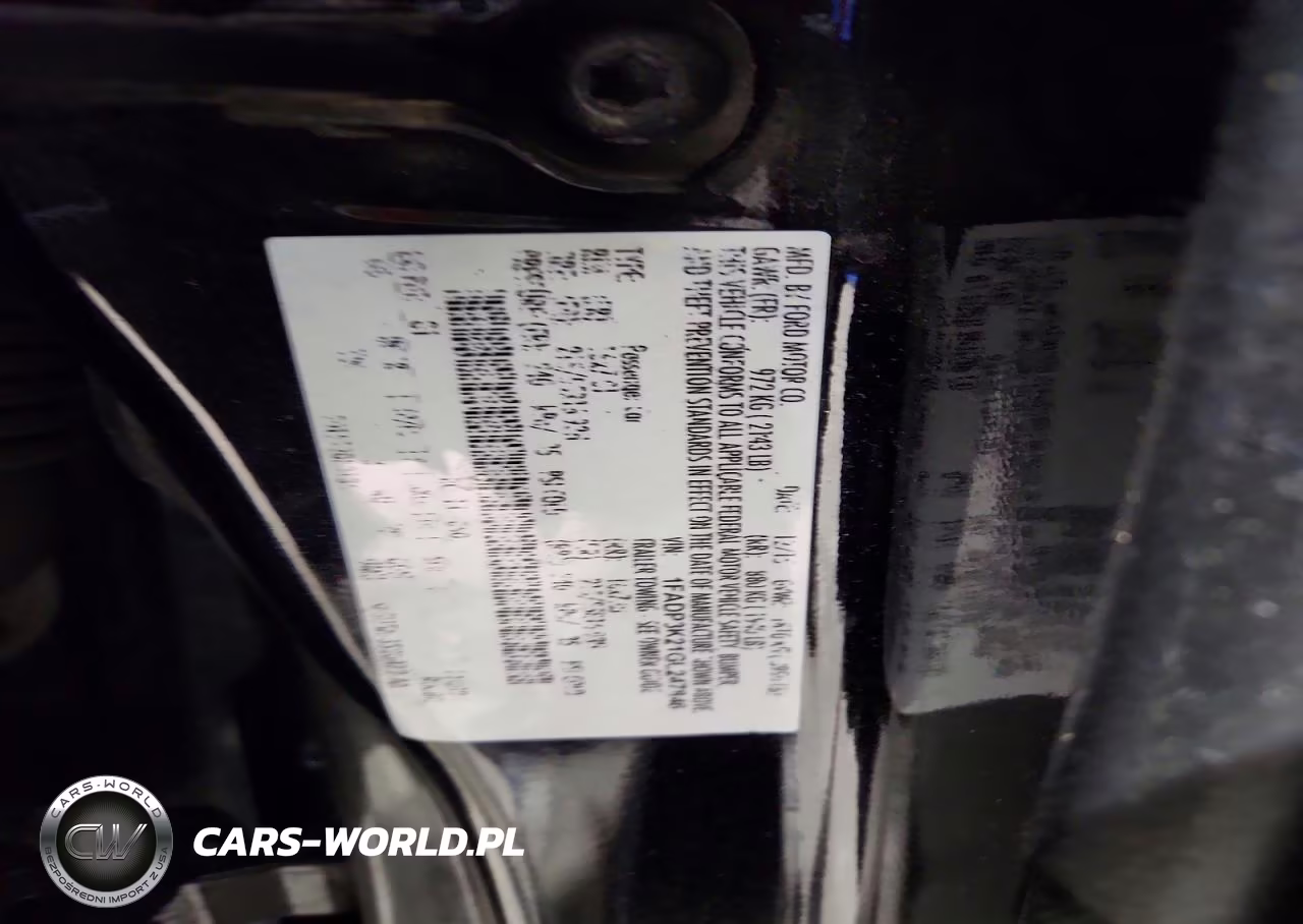 2016 Ford Focus Se VIN:1FADP3K21GL247846 - 12