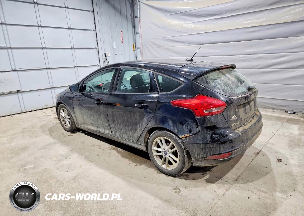 2016 Ford Focus Se VIN:1FADP3K21GL247846 - 2